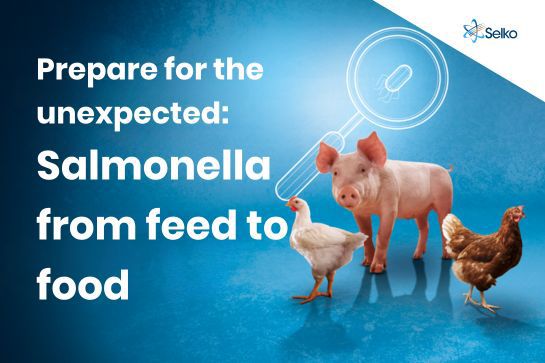 banner salmonella event