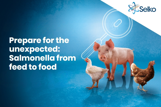 salmonella webinar banner