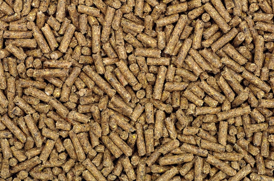 feed pellets