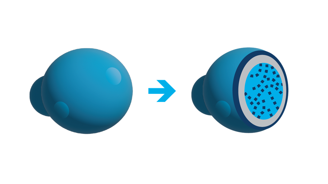 inactivated yeast cell 